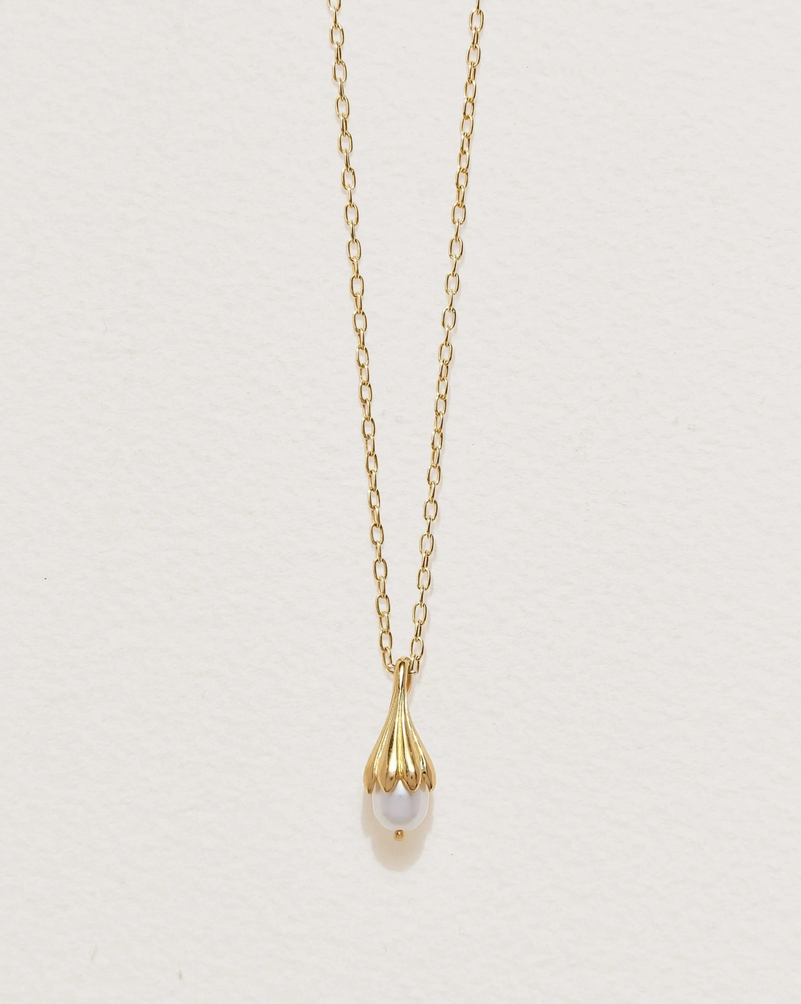 Summer Solstice Sale